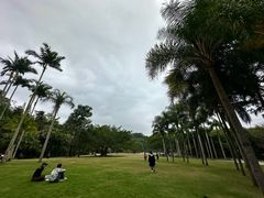 -深圳仙湖植物园