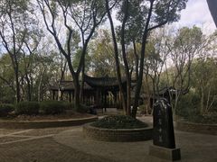 -上海佘山国家森林公园天马山园