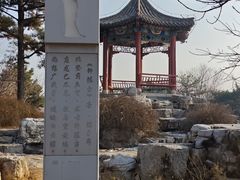 -大兴滨河森林公园