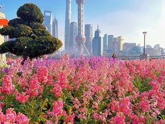 -北外滩滨江绿地