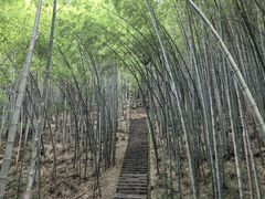 -敬亭山风景名胜区