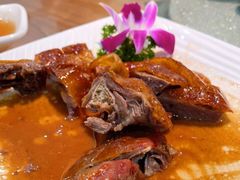 -九號渔港·蒸汽海鲜·粤菜茶点(八卦岭店)