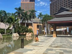 -海南椰子鸡餐厅(三亚湾红树林店)