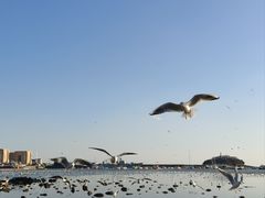 -肥三土菜馆(五四广场店)