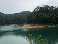 -广州市流溪河国家森林公园