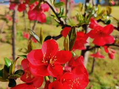 -眉山湿地公园(东坡区)