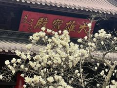 -灵谷景区