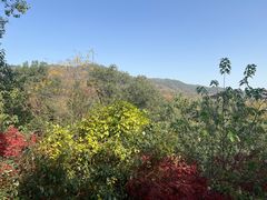 -敬亭山风景名胜区