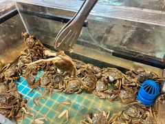-黑金·寻焰自助百汇·烤肉·火锅(中街店)