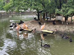 -黔灵山公园