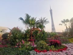 -海心沙亚运公园