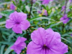 -苏州河梦清园环保主题公园