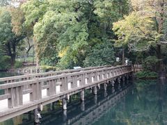 -井之头恩赐公园