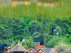 -西双版纳原始森林公园