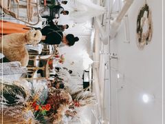 -共舞时光猫咖·狗咖(新街口店)