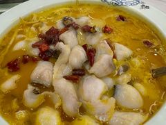 -蜀腾川·火锅鱼.烤鱼(新世界城店)
