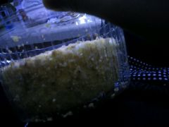 -丹香(潍坊泰华城店)