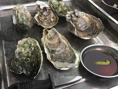 清蒸生蚝-江村四哥新鲜牛肉店(江高总店)