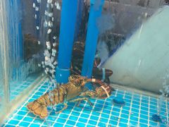 -山海•蒸汽活海鲜自助(皇庭广场店)