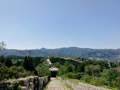 -原山国家森林公园