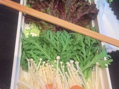 -南门四季铜锅涮肉(大屯·北苑店)