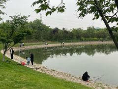 -羊山湖公园