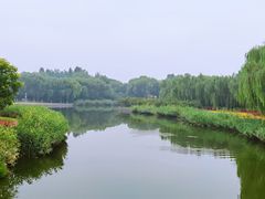 -大兴滨河森林公园