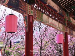 -宝墨园景区