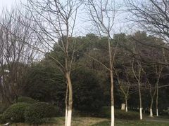 -玉山公园