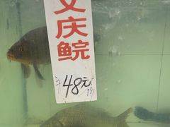特大西江笋壳皇-西江河鲜·趣苑酒楼(鼎湖牌坊店)