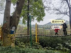 -杭州少年儿童公园