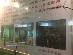 -上海昆虫博物馆