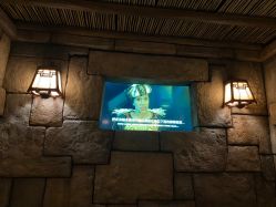 -翱翔飞越地平线