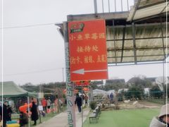 -小鱼草莓采摘园农家乐·小鱼餐厅