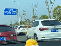 -南汇嘴观海公园