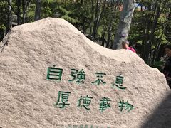 -清华大学-清芬园