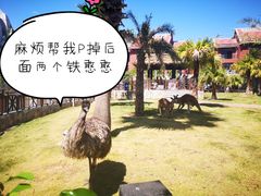 -灵玲国际马戏城