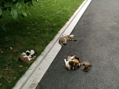 -河海大学(常州校区)