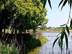 -梁鸿国家湿地公园