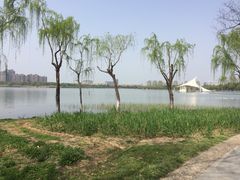 -暨阳湖生态园