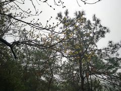 -天目湖涵田半山温泉