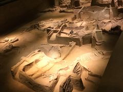 -洛阳周王城天子驾六博物馆