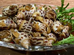 秘制糟花螺-周家二小姐的菜(西津渡店)