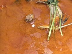 -苹果树下艺术餐厅(通州店)