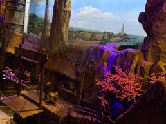 -华夏文旅海洋公园