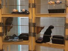 -瑞派申生动物医院·24H夜诊·国际动物医疗中心·骨外科(吴中路店)