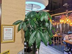 -印象江南(东栅店)