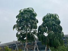 -广州白云机场雅高铂尔曼大酒店