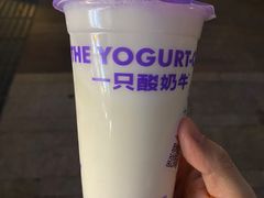 -一只酸奶牛(春熙路店)