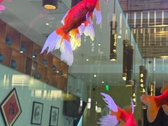 -原鄉本味 楚菜 丹江口鱼(北苑店)